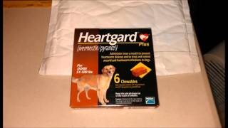 How To Get Heartgard Plus Without A Prescription  Proof [upl. by Smiga497]