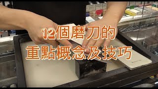 終極濃縮版  12個磨刀的重點技巧及概念 [upl. by Onid]