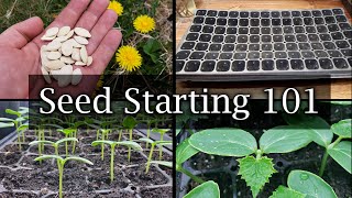 How To Start Vegetable Seeds  The Definitive Guide For Beginners [upl. by Melisande]