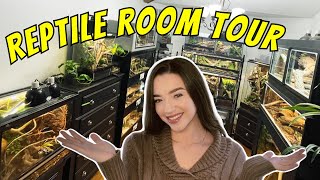 REPTILE ROOM TOUR  Snakes Lizards Spiders amp More [upl. by Nonnerb]