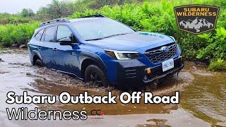 Subaru Outback Wilderness Offroad trail test Water crossing and rock climbing [upl. by Eynaffit]