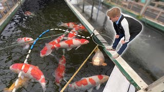 Sakai Fish Farm PLUS Narita Visit BIG FISH [upl. by Elletnohs450]