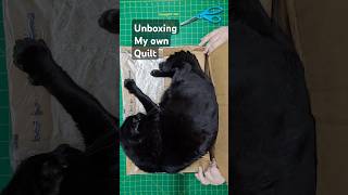 Unboxing My Own Quilt  quotGaggling Aroundquot is back from the publisher quilting quickandeasyquilts [upl. by Wales452]