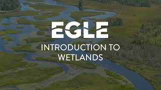 Introduction to Wetlands [upl. by Ailhad]