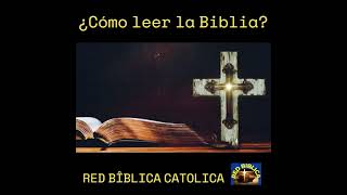 🟢¿Cómo leer la Biblia [upl. by Anna-Diane]