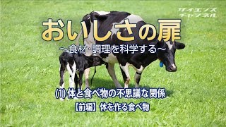 おいしさの扉 1体と食べ物の不思議な関係【前編】体を作る食べ物 [upl. by Alverta]