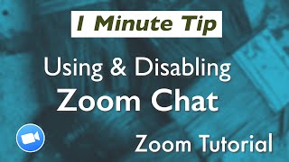 Zoom Tutorial How To Use the Zoom Chat Feature [upl. by Hatcher272]