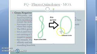 Pharmacology 707 b FluoroQuinolones Mechanism Of Action Quinolones DNA Gyrase inhibitor supercoil [upl. by Angeline]