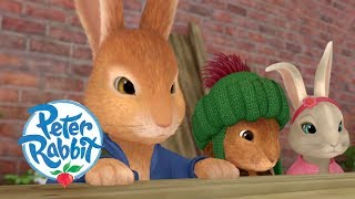 OfficialPeterRabbit  Adventures at Night  ActionPacked Adventures  Wizz Cartoons [upl. by Hatnamas26]