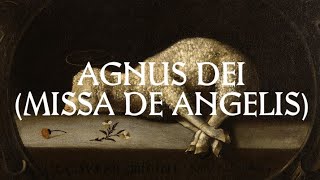 Agnus Dei  Catholic Latin Hymn [upl. by Godiva]