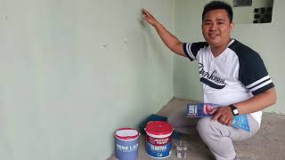 DINDING LUAR BERMASALAH  HARUS PAKAI PRODUK UNGGULAN NIPPON ELASTEX ReviewCatElastex NipponPaint [upl. by Nuyh]