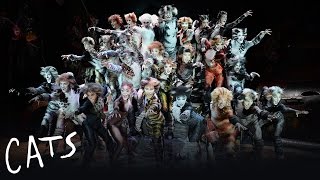 Cats Musical Awards and Nominations [upl. by Cariotta495]