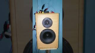 SB ACOUSTICS SB17SB17nrx  SB29RDC power SYMASYM 53 [upl. by Elias]