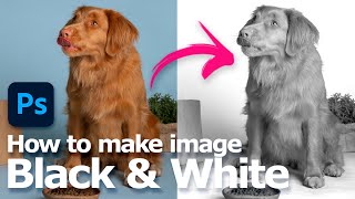 How to make image black and white using Photoshop  2 ways not only grayscale [upl. by Damarra]