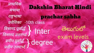 Dbhps Hindi exam levels pradamica to Praveen [upl. by Girand]