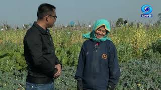 Agriculture Programme  Integrated Farming at Bishnupur District [upl. by Okoyik]