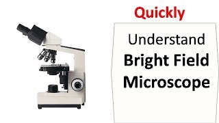 Bright field microscopy [upl. by Darell]