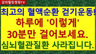 최고의 혈액순환 걷기운동 하루에 이렇게 30분만 걸어보세요 심뇌혈관질환 사라집니다 [upl. by Kehoe688]