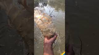 DIY FISHING TOOLS fishing wildfish fish trapswilderness fishtrap diytools diy building [upl. by Dis]