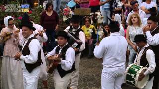 Madeira Traditional Folklore Groups  Folclore da Madeira Tradição Madeirense [upl. by Refannej775]