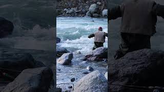 Its not easy to put a really big salmon in a net I ❤️ salmon fishing Vedder river Canada 🇨🇦 33 [upl. by Benedikt746]