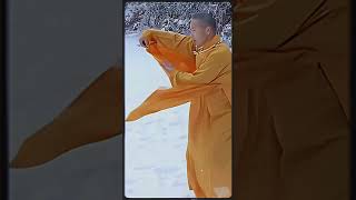 How the Shaolin Master is calm and joyful through all seasons of life  Shaolin Temple Yunnan [upl. by Paehpos210]