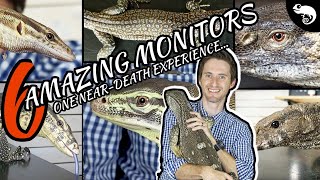 Six of the Best Pet Monitor Lizards [upl. by Zedekiah]