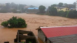 Hundreds feared dead in Sierra Leone mudslides [upl. by Dlorag]