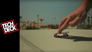 Tech Deck Longboards [upl. by Carboni]