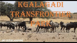 Exploring Kgalagadi Transfrontier Park in Africa  DG Overlanding Adventure [upl. by Lyrak]