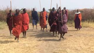 Masai in Tanzania danza di benvenuto al villaggio [upl. by Botsford]