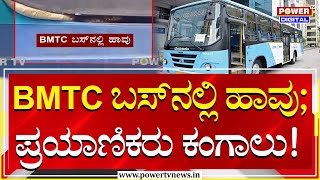 BMTC Bus  ಬಿಎಂಟಿಸಿ ಬಸ್‌ನಲ್ಲಿ ಬುಸ್‌ ಬುಸ್ ನಾಗಪ್ಪ ಪ್ರತ್ಯಕ್ಷ  Snake  Power Tv News [upl. by Kcinomod]