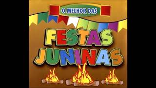 SELEÇÃO FESTA JUNINA Músicas Tradicionais [upl. by Selby]