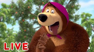 🔴 LIVE 👱‍♀️🐻 Masha y el Oso 🤯💣 Cuentos Salvajes 🤯💣Masha and the Bear💡EN VIVO [upl. by Enerol]