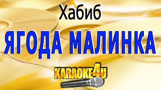 Ягода малинка  Хабиб  Кавер минус [upl. by Drislane]