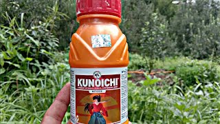 kunoichi miticide  insecticides india limited [upl. by Dolphin846]