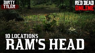 Rams Head Locations for Daily Challenges Red Dead Online RDR2 [upl. by Noremac37]