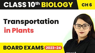 Transportation in Plants  Life Process  Class 10 Biology [upl. by Livvi]