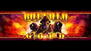 Buffalo Gold Slot Cashman Casino Vegas Slot Game Will i Win [upl. by Nylehtak324]