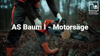 AS Baum 1 Motorsäge  ÜA in RheinlandPfalz amp Saarland [upl. by Anawahs]