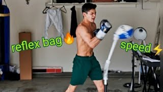 Boxing training with punching bag and reflex bag🔥RYAN GARCIA [upl. by Konstantin372]