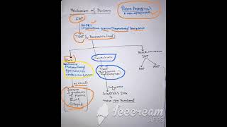 6 mercaptopurine mechanism of action [upl. by Aisel543]