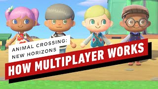 How Multiplayer Works in Animal Crossing New Horizons [upl. by Neiv]