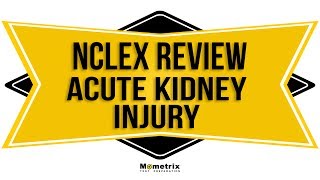 AKI Acute Kidney Injury NCLEX RN Review [upl. by Hime]