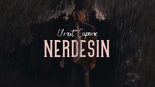 Umut Capone  NERDESIN Offizielles Video [upl. by Bren]