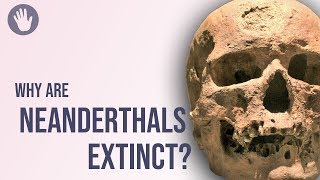 Why Are Neanderthals Extinct [upl. by Eihs]