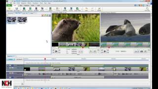 VideoPad Video Editing Software  Editing Clips Tutorial [upl. by Ivor]