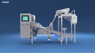 SORTEX E PolyVision™ optical sorter for PET recyclers [upl. by Reynard319]