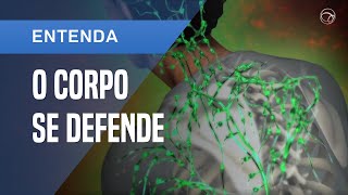 COMO O SISTEMA IMUNOLÓGICO PROTEGE O CORPO HUMANO CONTRA DOENÇAS INFECCIOSAS [upl. by Llednik389]