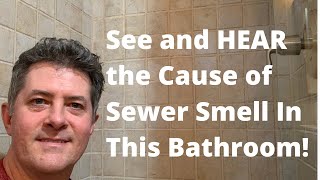 How to Get Rid of Sewer Smell [upl. by Birecree117]